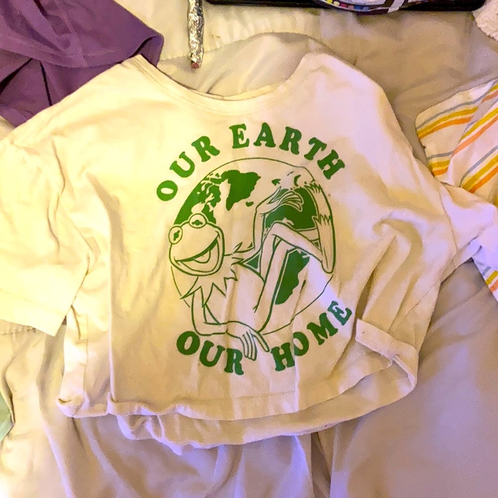 A Kermit crop top